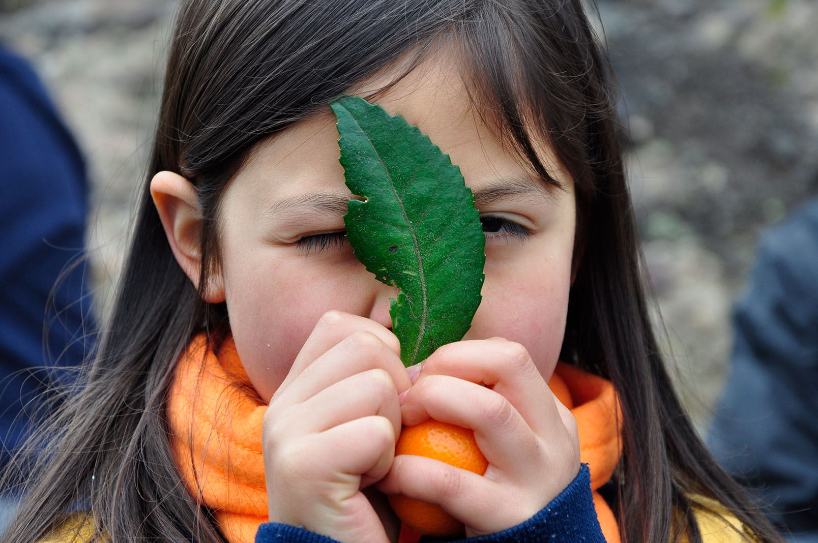 bosqueando_comunidades_educacion_ambiental_verdesur